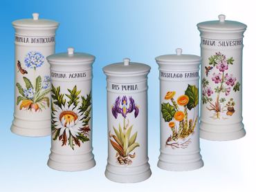 Picture for category Jars with herbal design